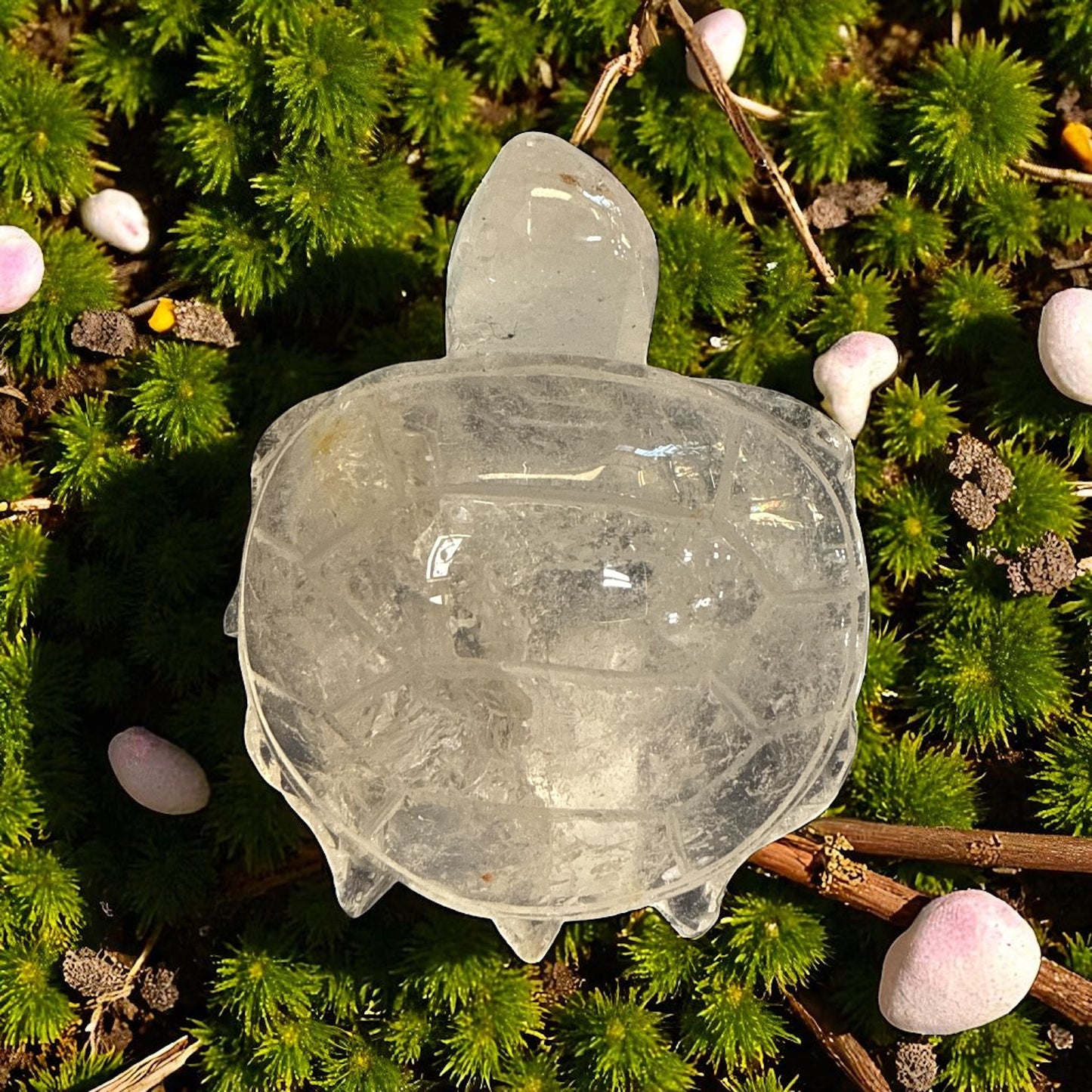 Genuine Clear Quartz turtle for Manifestation and Grounding