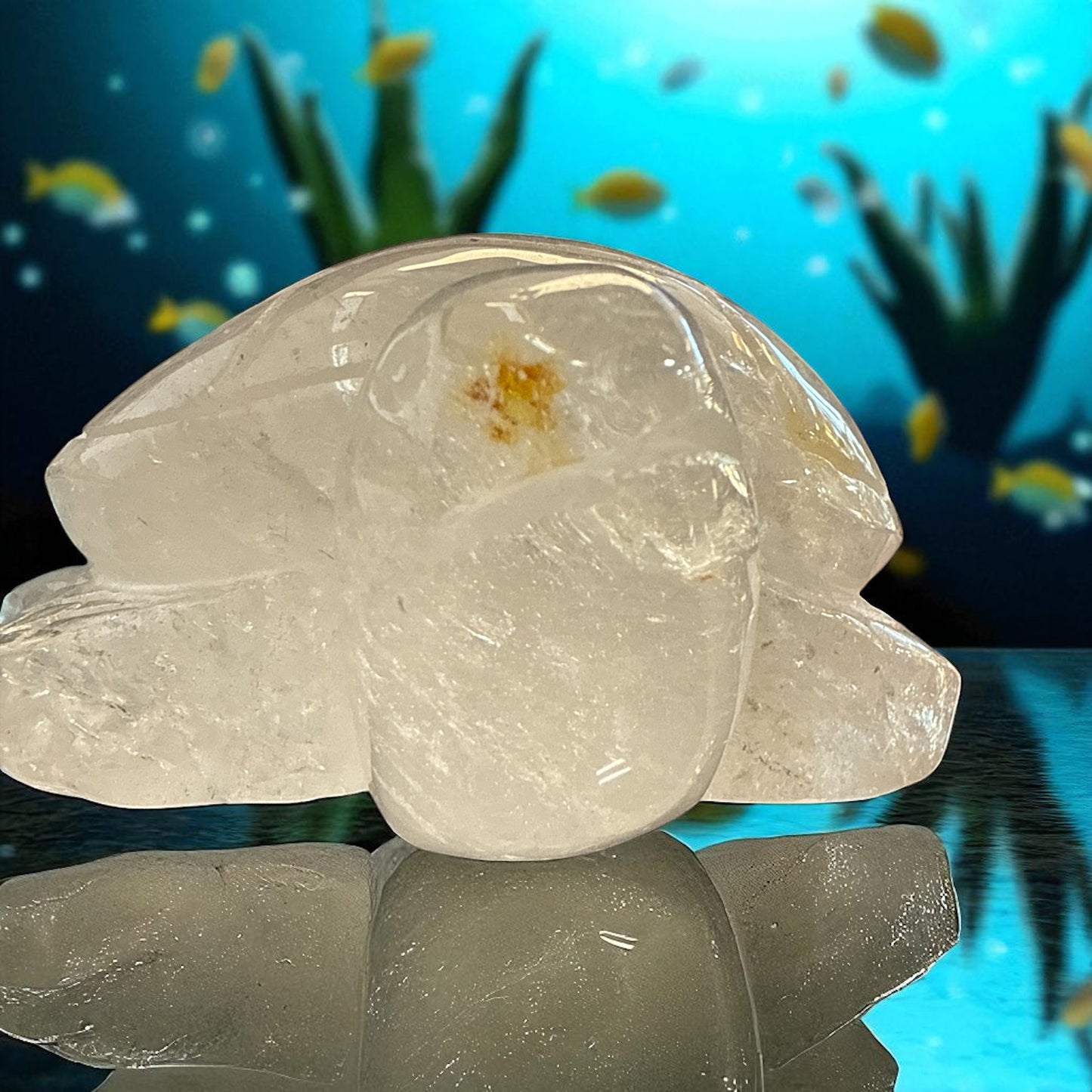 Genuine Clear Quartz turtle for Manifestation and Grounding