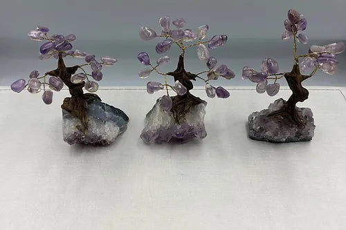 Amethyst Crystal Bonsai Fortune Tree with Amethyst Base ( Free Shipping )