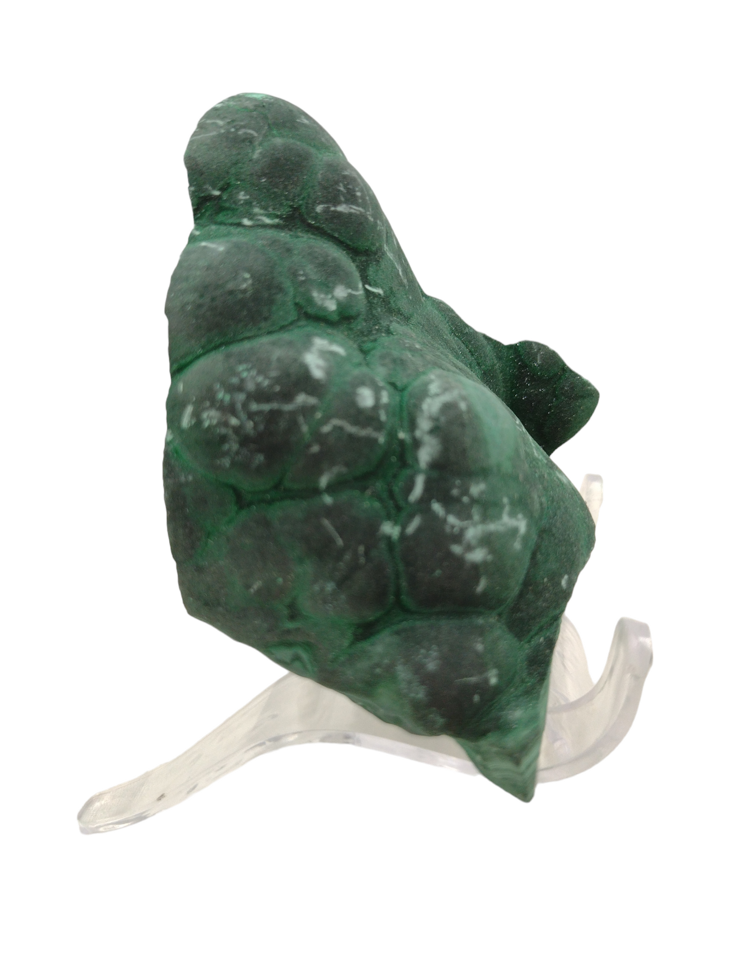 Velvet Malachite Natural Specimen N46 ( Free Shipping )