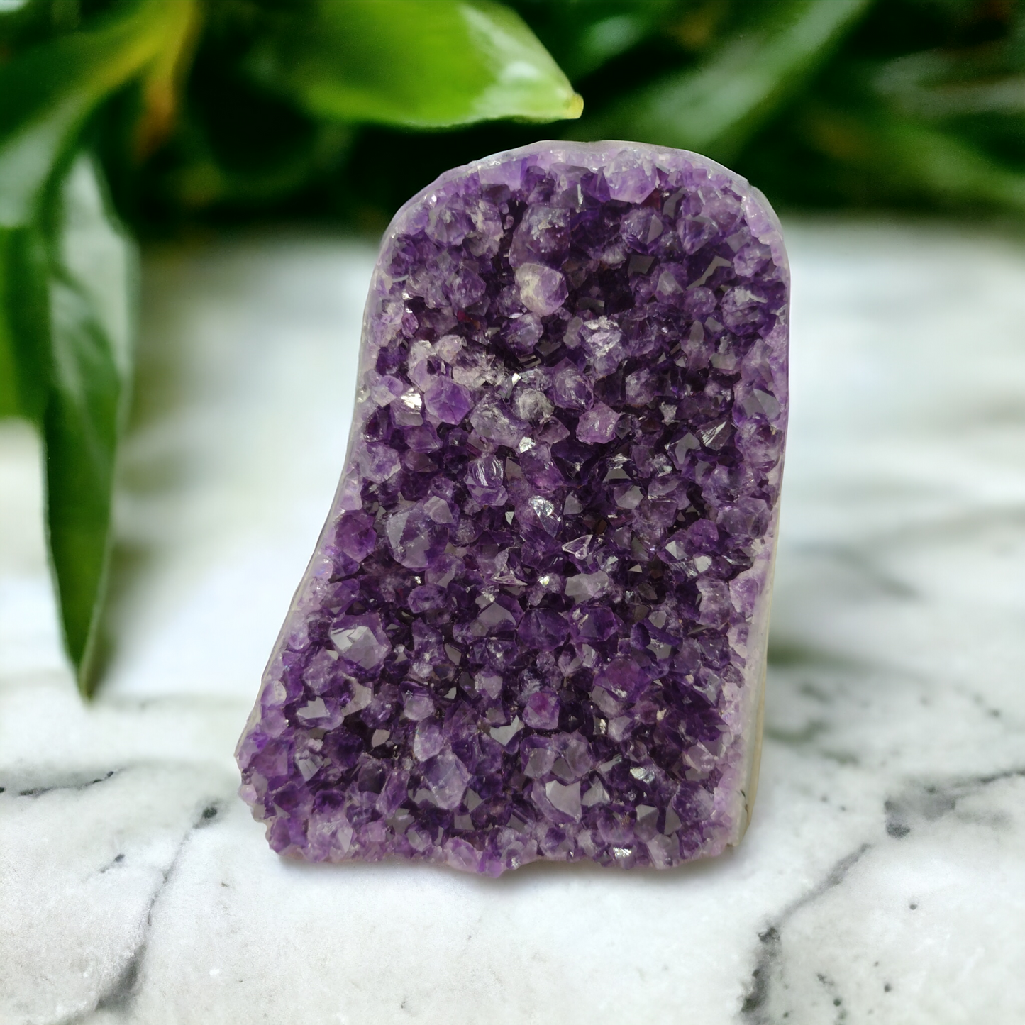 Amethyst Geode Uruguay (High Grade Specimen) N95.(Free Shipping )