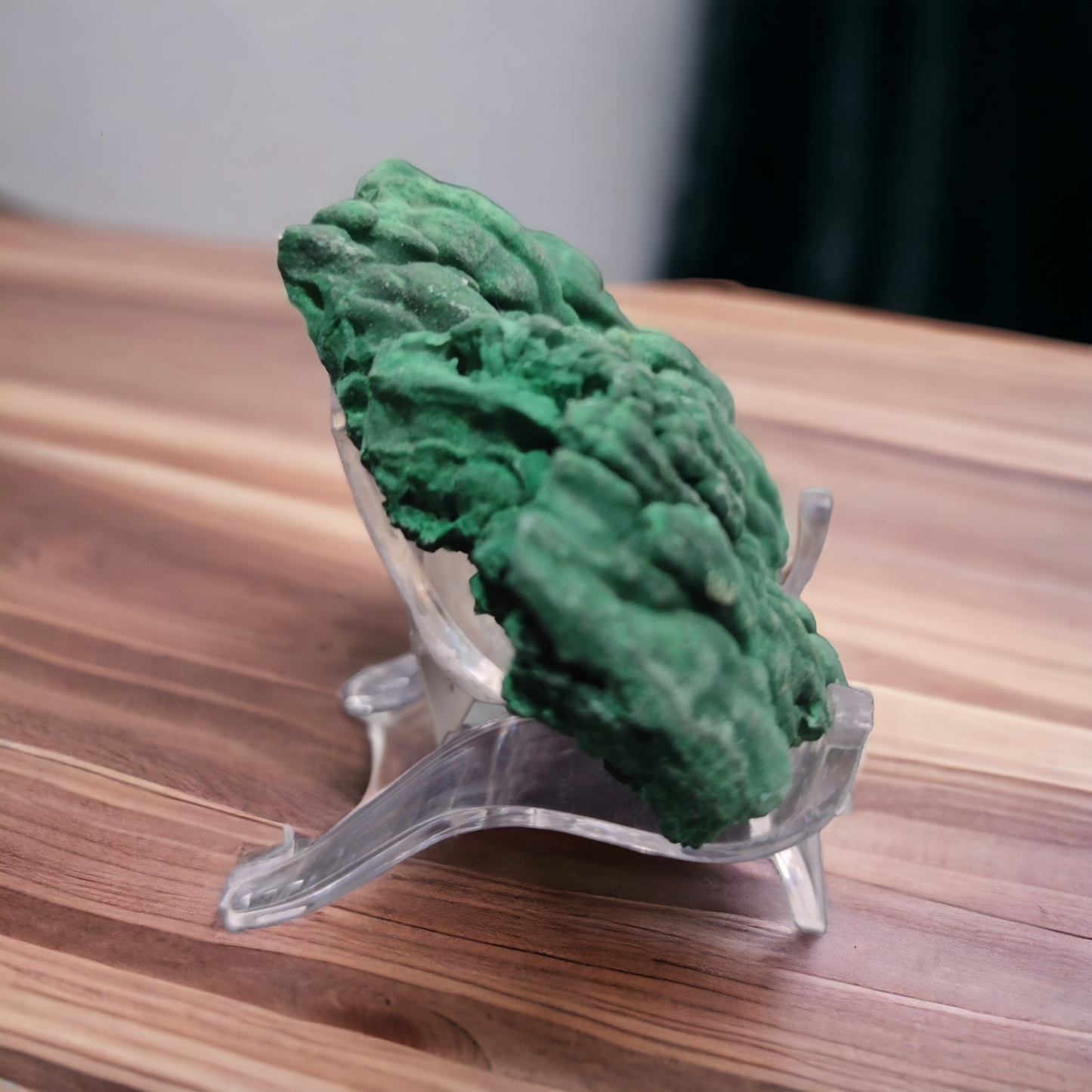 Velvet Malachite Natural Specimen N199 ( Free Shipping )