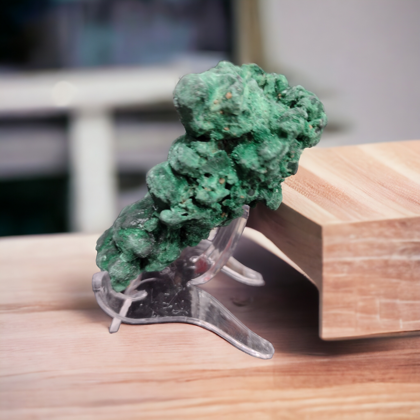 Velvet Malachite Natural Specimen N220 ( Free Shipping )