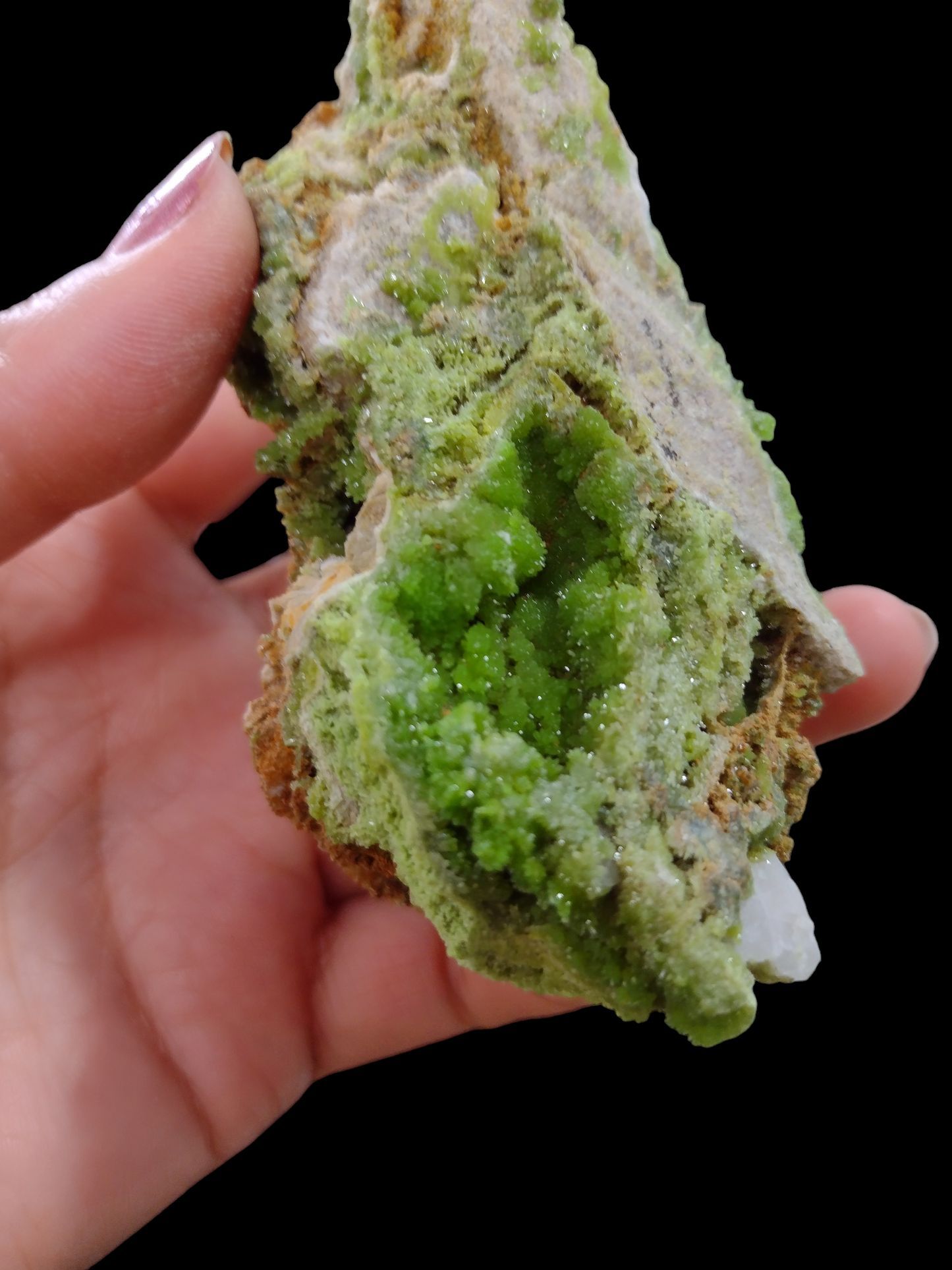 Pyromophite Mineral Specimen N272 ( Free Shipping )