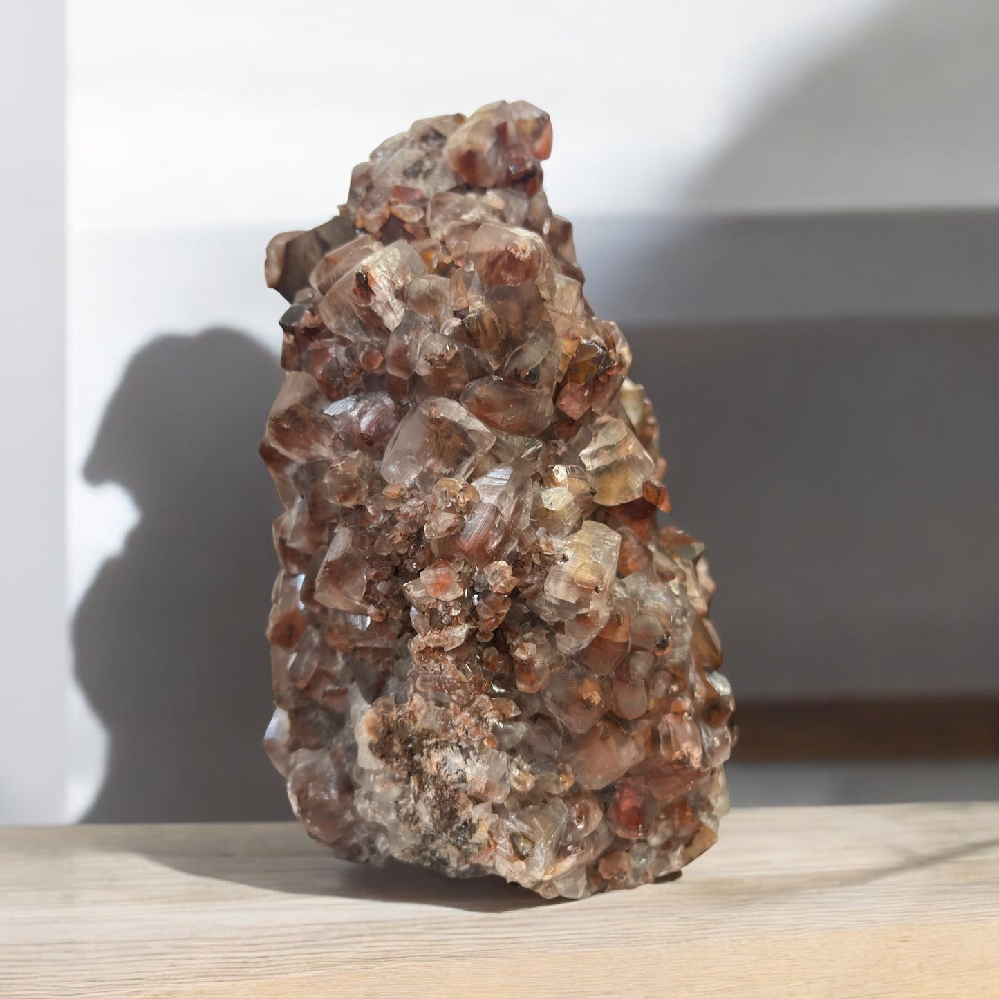 Chocolate Calcite Specimen N332 ( Free Shipping )