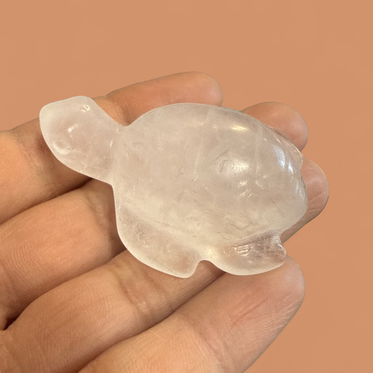 Clear Quartz Turtle N411