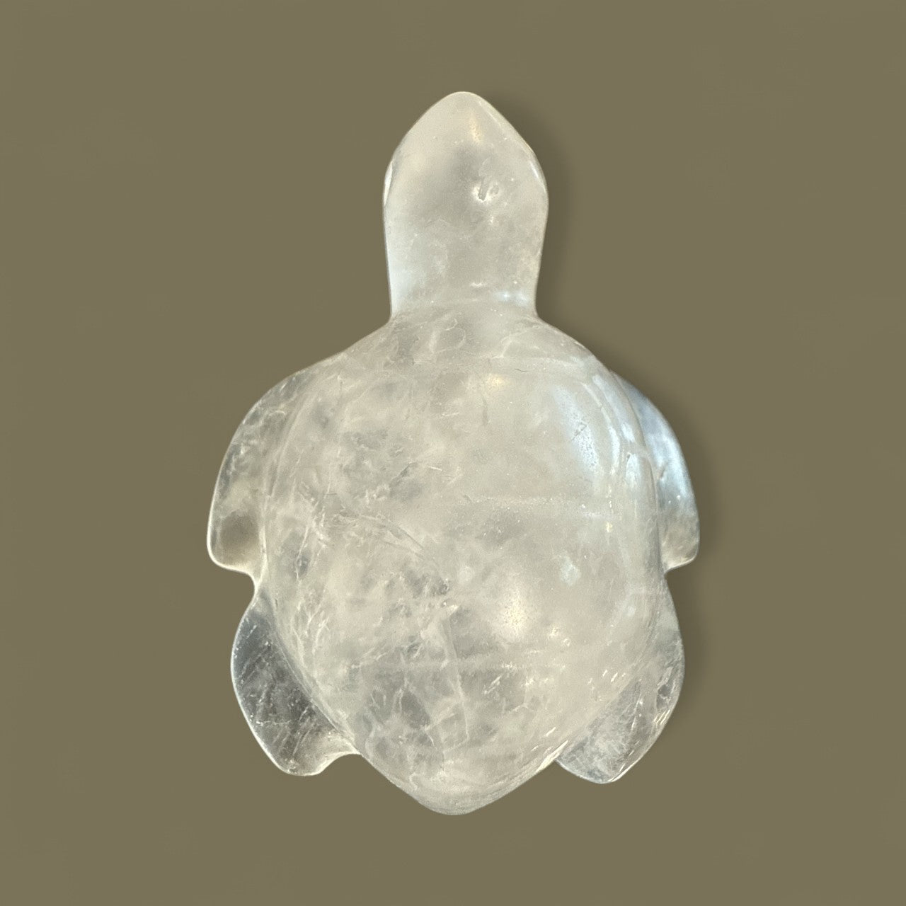 Clear Quartz Turtle N411