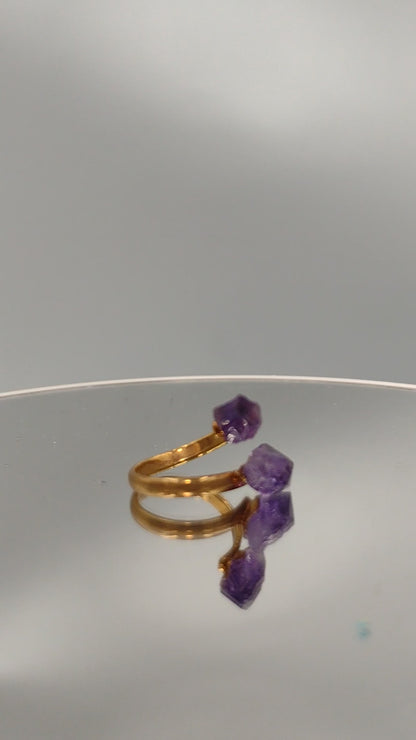 Amethyst Adjustable electroplated Ring .( Free Shipping )