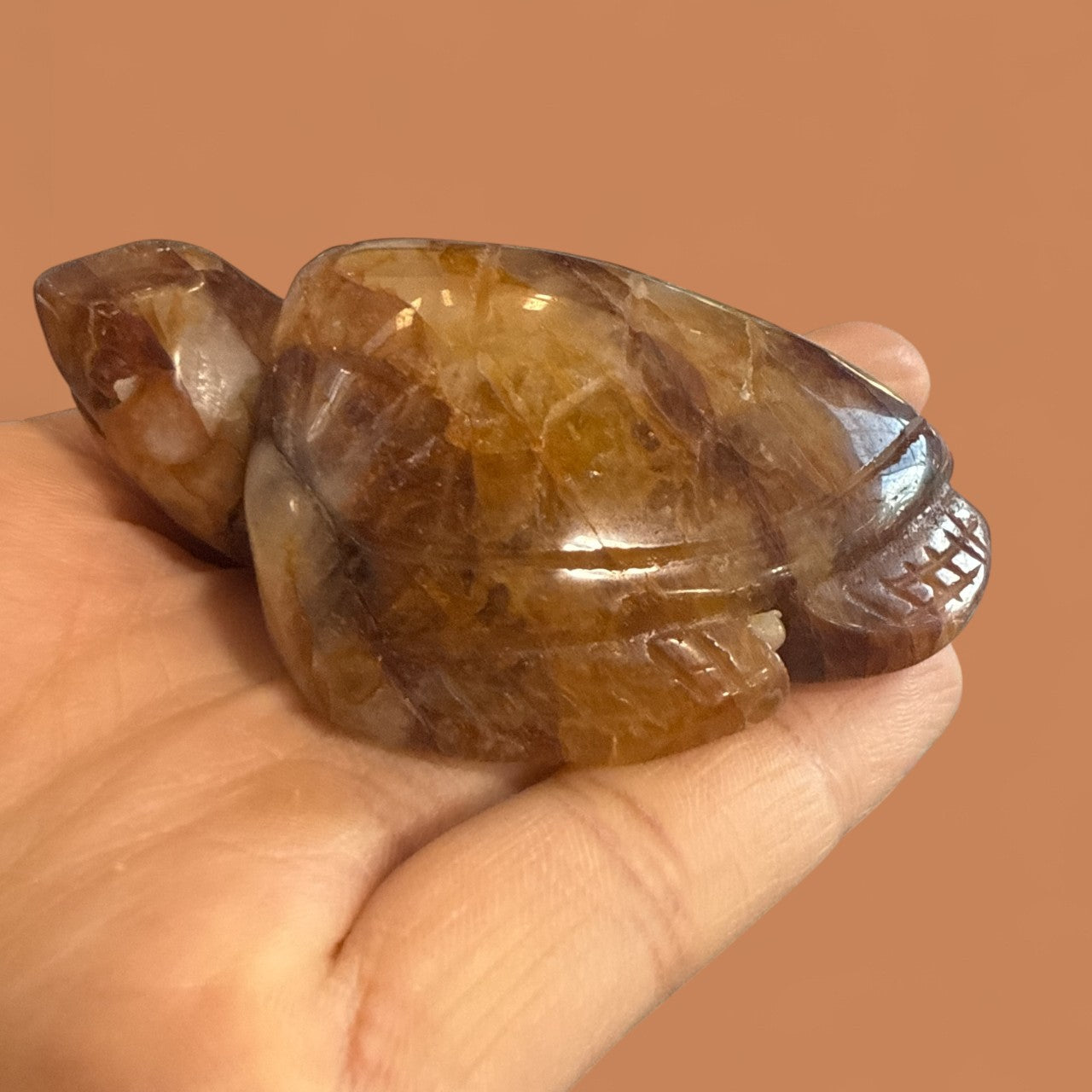 Golden Healer Turtle N410