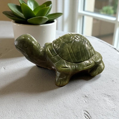 Genuine Jade turtle for Financial Growth