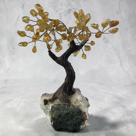 Citrine (Heated Amethyst )Tree for Wealth and Abundance (12 Branches) N507