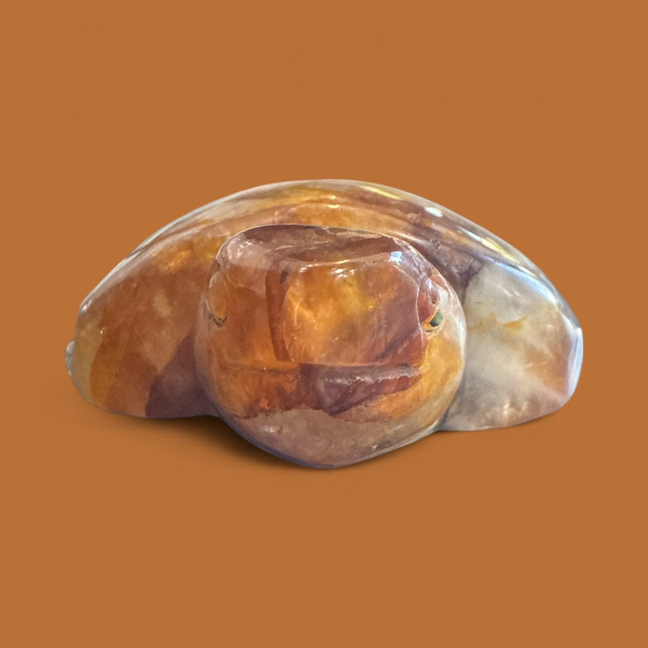 Golden Healer Turtle N410