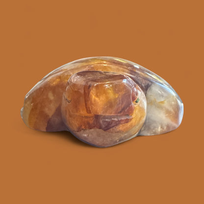 Golden Healer Turtle N410