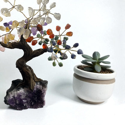 Seven Chakras Tree (Large) for meditation (24 Branches) N437