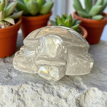 Genuine Clear Quartz turtle for Manifestation and Grounding
