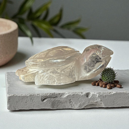 Genuine Clear Quartz turtle for Manifestation and Grounding