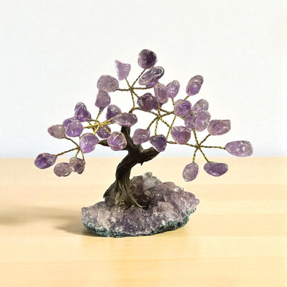 Amethyst Tree for peacefulness and prosperity (7 Branches) N430