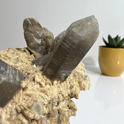 Smoky Quartz Clustered Specimen N459