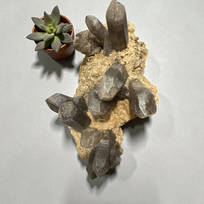 Smoky Quartz Clustered Specimen N459