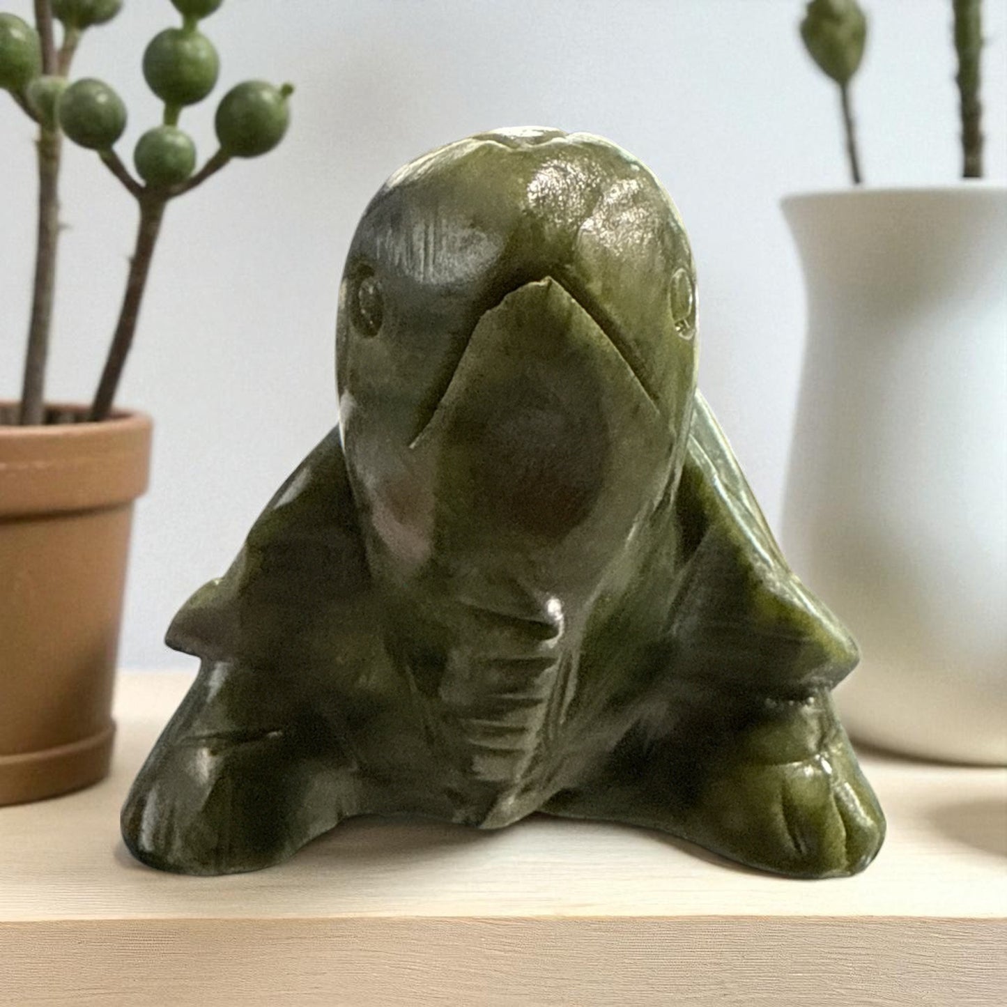 Genuine Jade turtle for Financial Growth