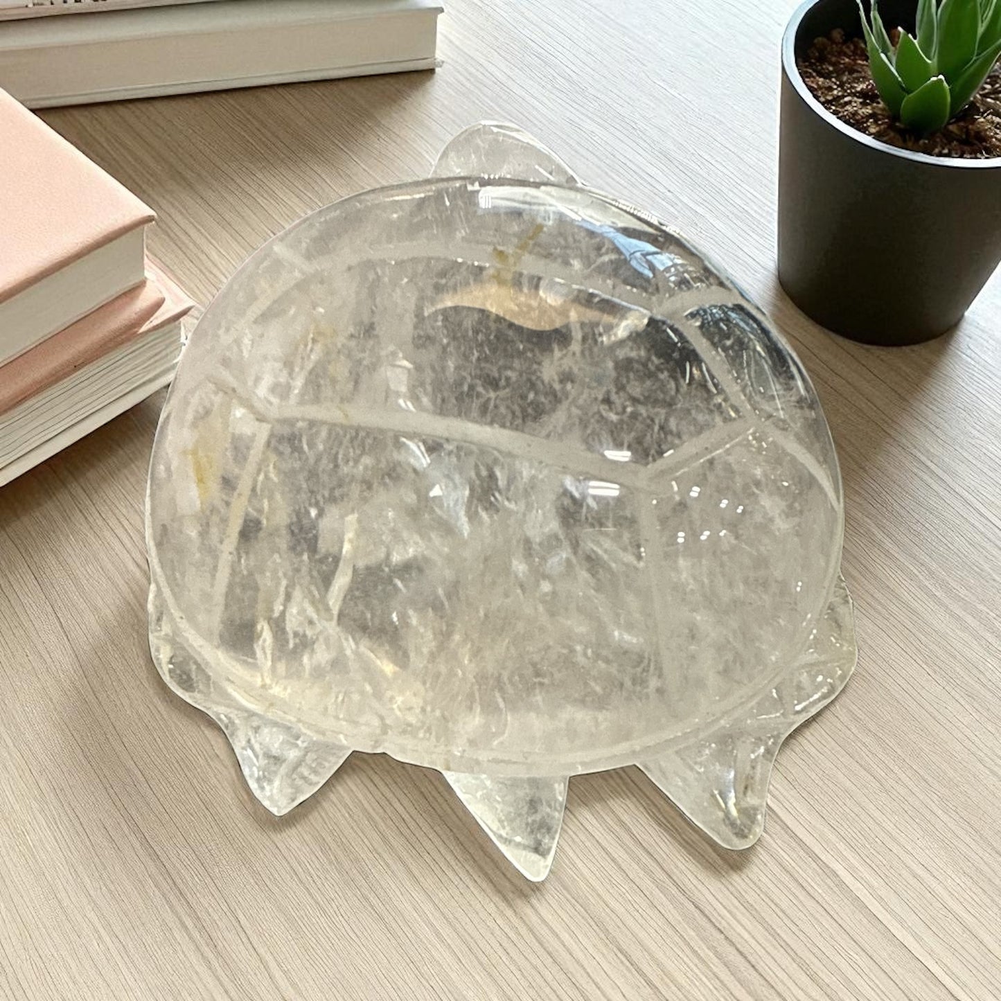 Genuine Clear Quartz turtle for Manifestation and Grounding