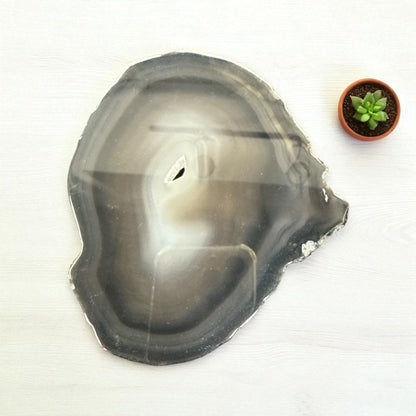 Genuine Agate Slice (Brazil) N367