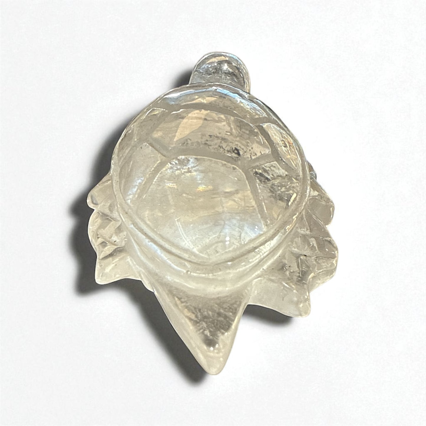 Genuine Clear Quartz turtle for Manifestation and Grounding