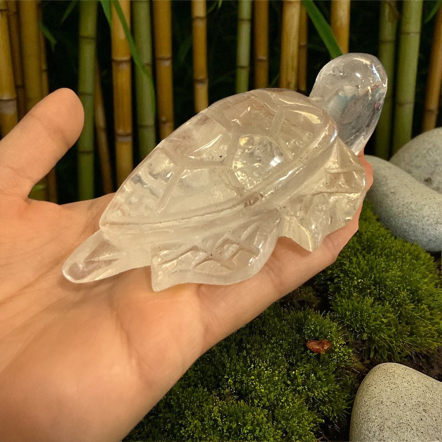 Genuine Clear Quartz turtle for Manifestation and Grounding