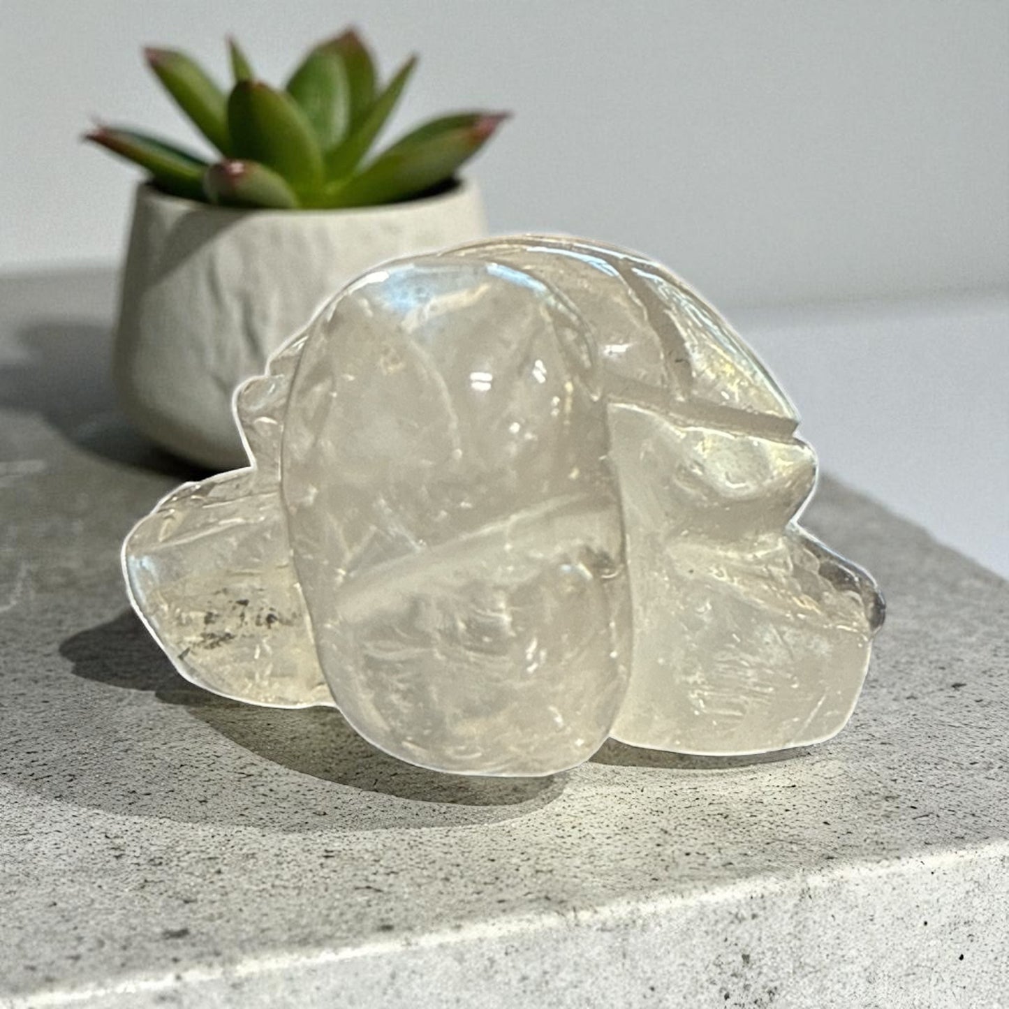 Genuine Clear Quartz turtle for Manifestation and Grounding
