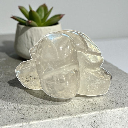 Genuine Clear Quartz turtle for Manifestation and Grounding