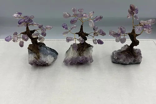 Amethyst Crystal  Bonsai Fortune Tree with Amethyst Base ( Free Shipping )