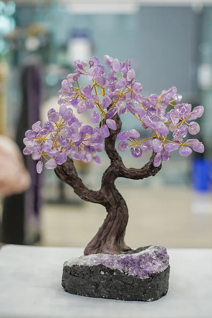 Amethyst Crystal Tree with Amethyst Base(Free Shipping)