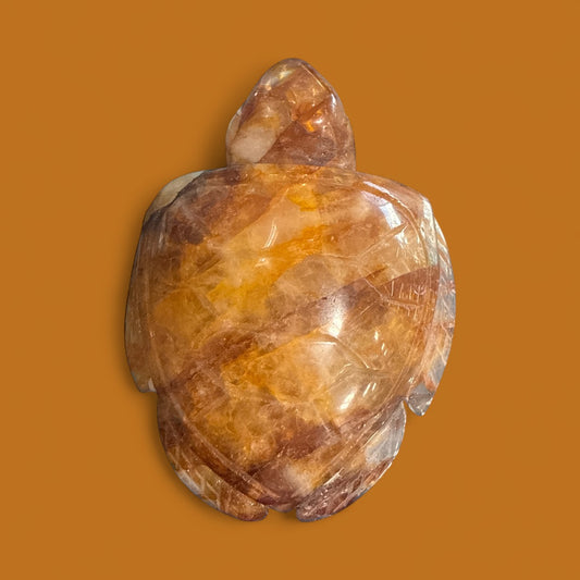 Golden Healer Turtle N410