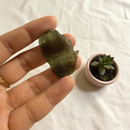 Moldavite (Olive Green) 7.014 Gm N374