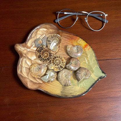 Natural Ammonite Fossils Full and Half 35.1 mm (free Shipping) 1 Piece