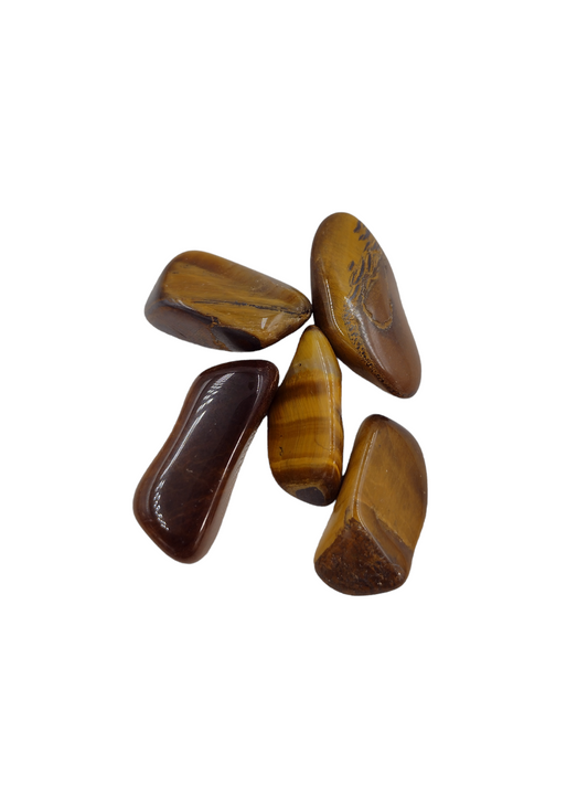 Tigers Eye Tumbled Stone (5pc) ( Free Shipping )