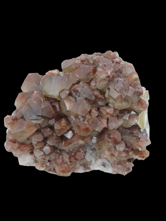 Chocolate specimen N56 ( Free Shipping )