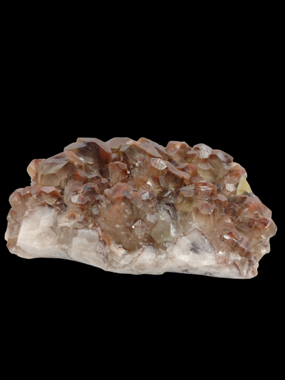 Chocolate specimen N56 ( Free Shipping )