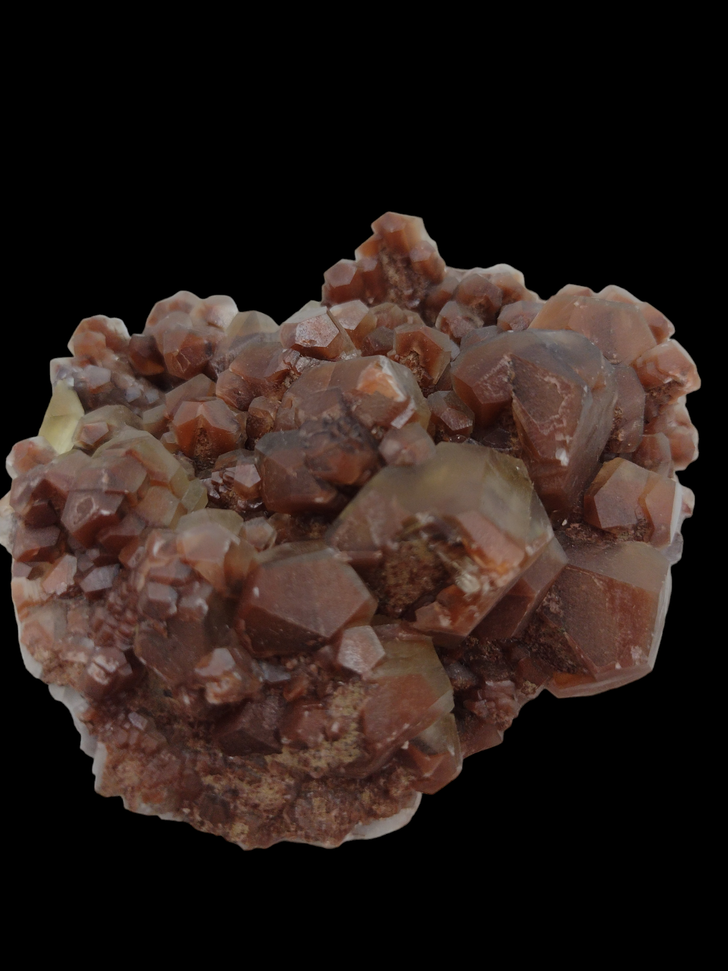 Chocolate specimen N56 ( Free Shipping )