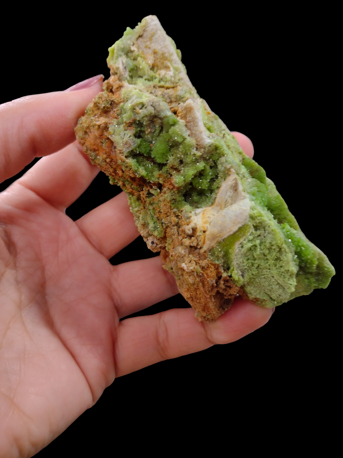 Pyromophite Mineral Specimen N272 ( Free Shipping )