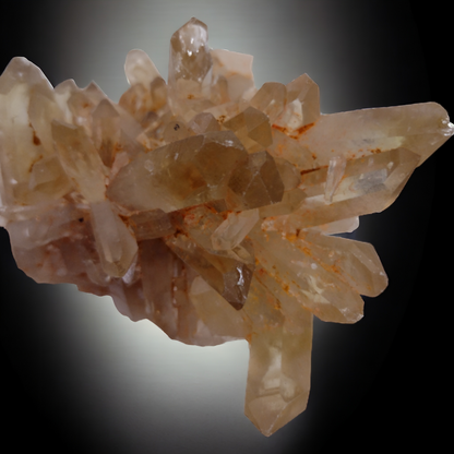 Natural Citrine Cluster N285 ( Free Shipping )