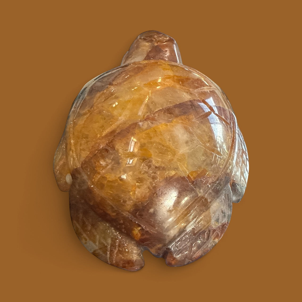 Golden Healer Turtle N410