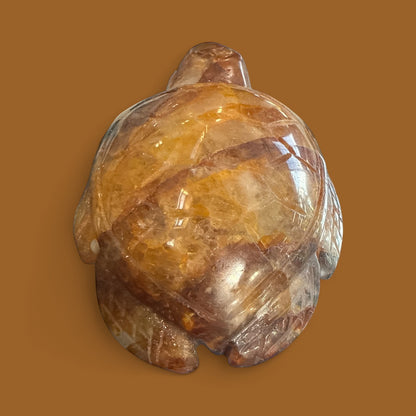 Golden Healer Turtle N410