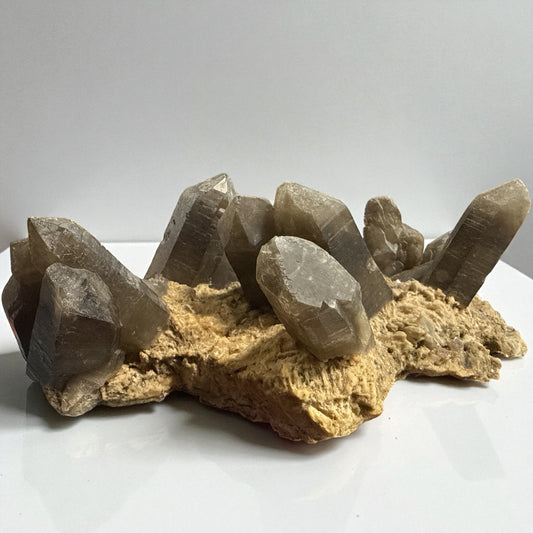 Smoky Quartz Clustered Specimen N459