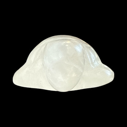 Clear Quartz Turtle N411