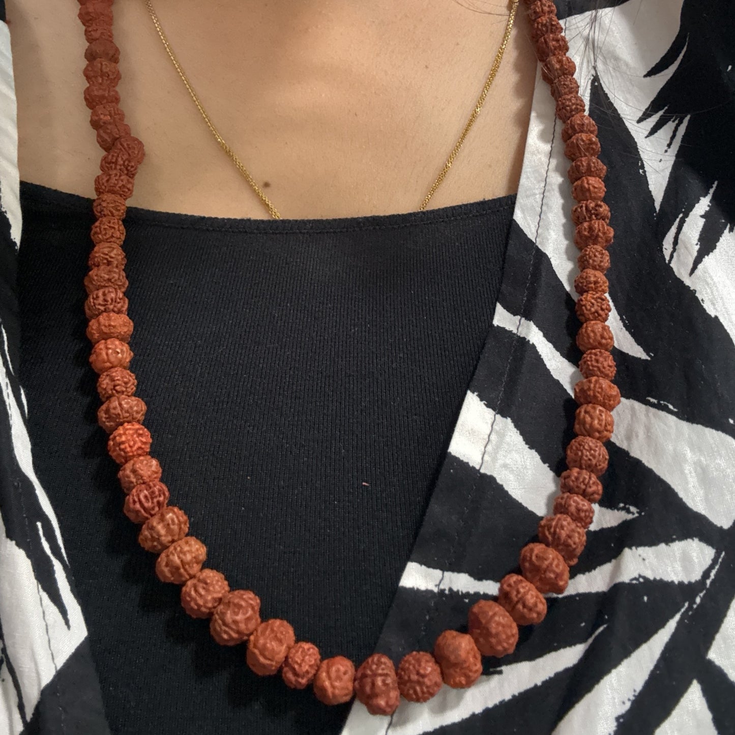 Genuine Spiritual Rudraksha Mala for Meditation | 108 beads(Free shipping)