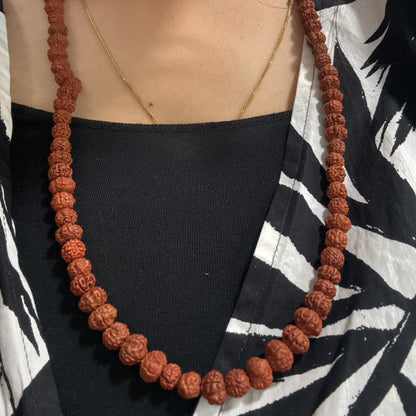 Genuine Spiritual Rudraksha Mala for Meditation | 108 beads(Free shipping)
