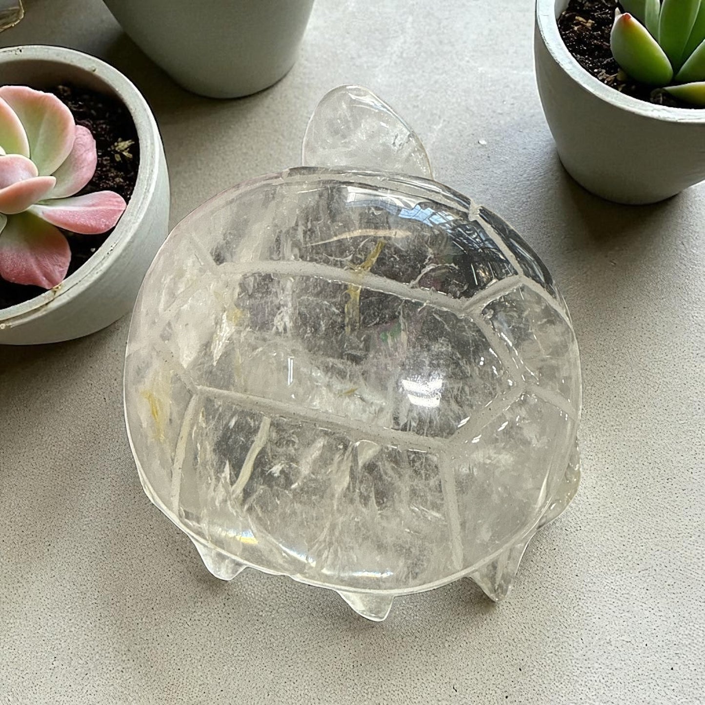 Genuine Clear Quartz turtle for Manifestation and Grounding