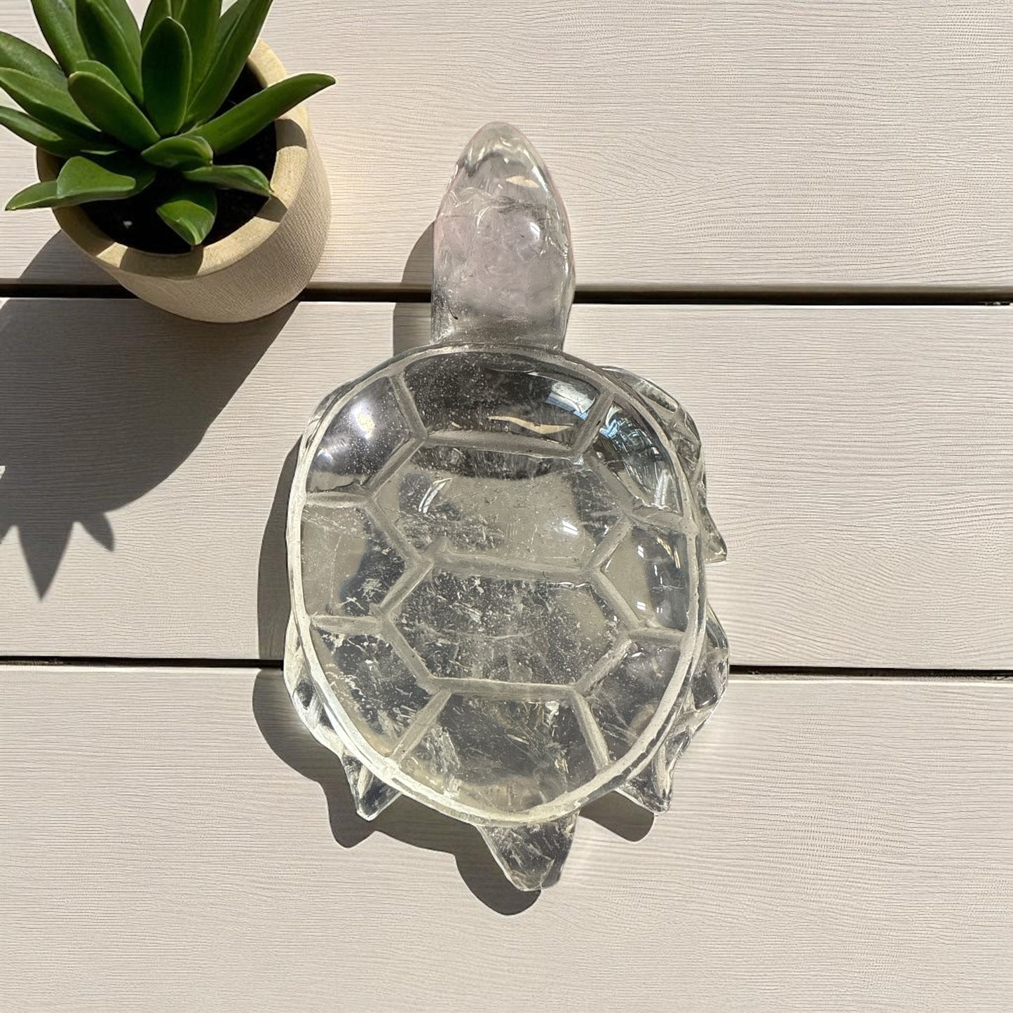 Genuine Clear Quartz turtle for Manifestation and Grounding