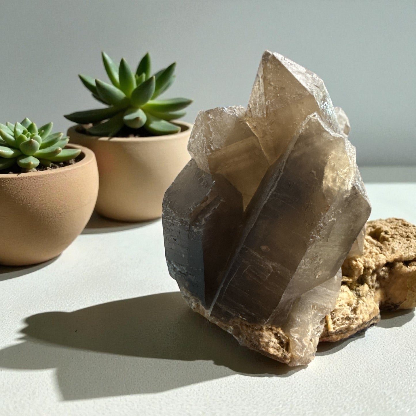 Smoky Quartz Clustered Specimen N459